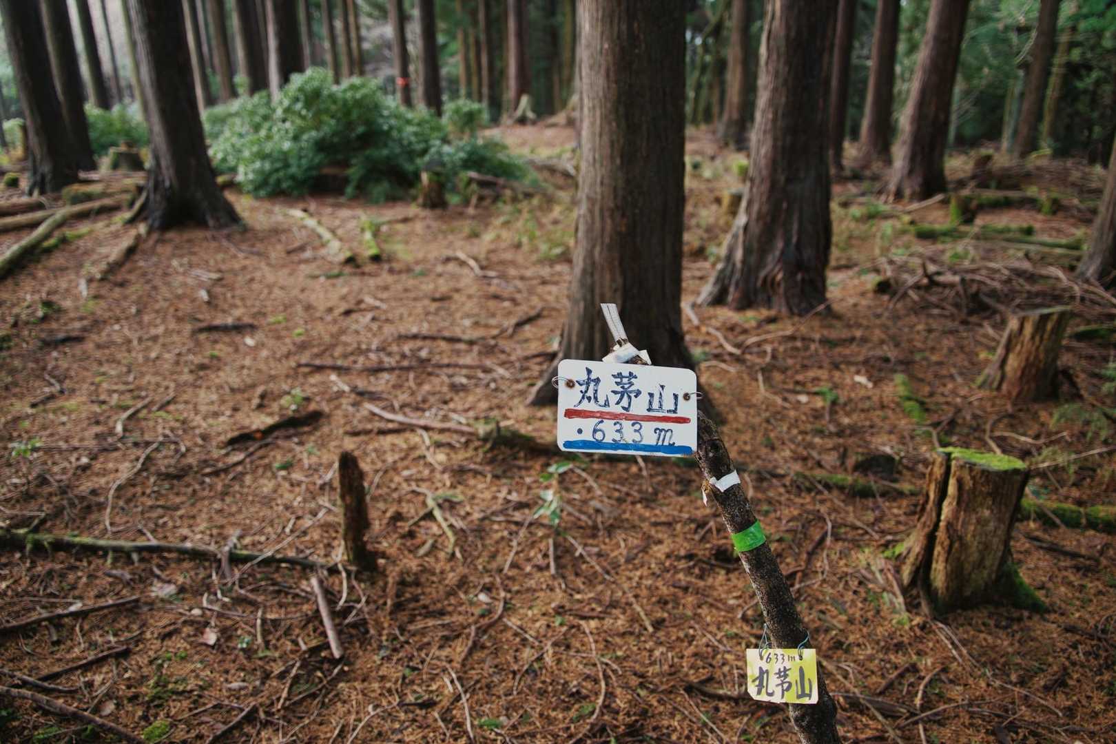 丸茅山⛰️
ここまでも登山道は林道によって、切られており、右往左往⤴️⤵️もしながら、辿り着きました。