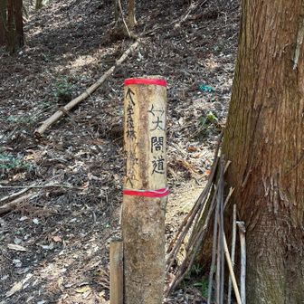 あと少し、太閤道終わり