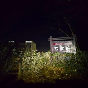 計画通りの時刻に乙女峠に到着
ここで次に進むか下山するか決めようと思っていたけど、金時山へ進むことにしました。