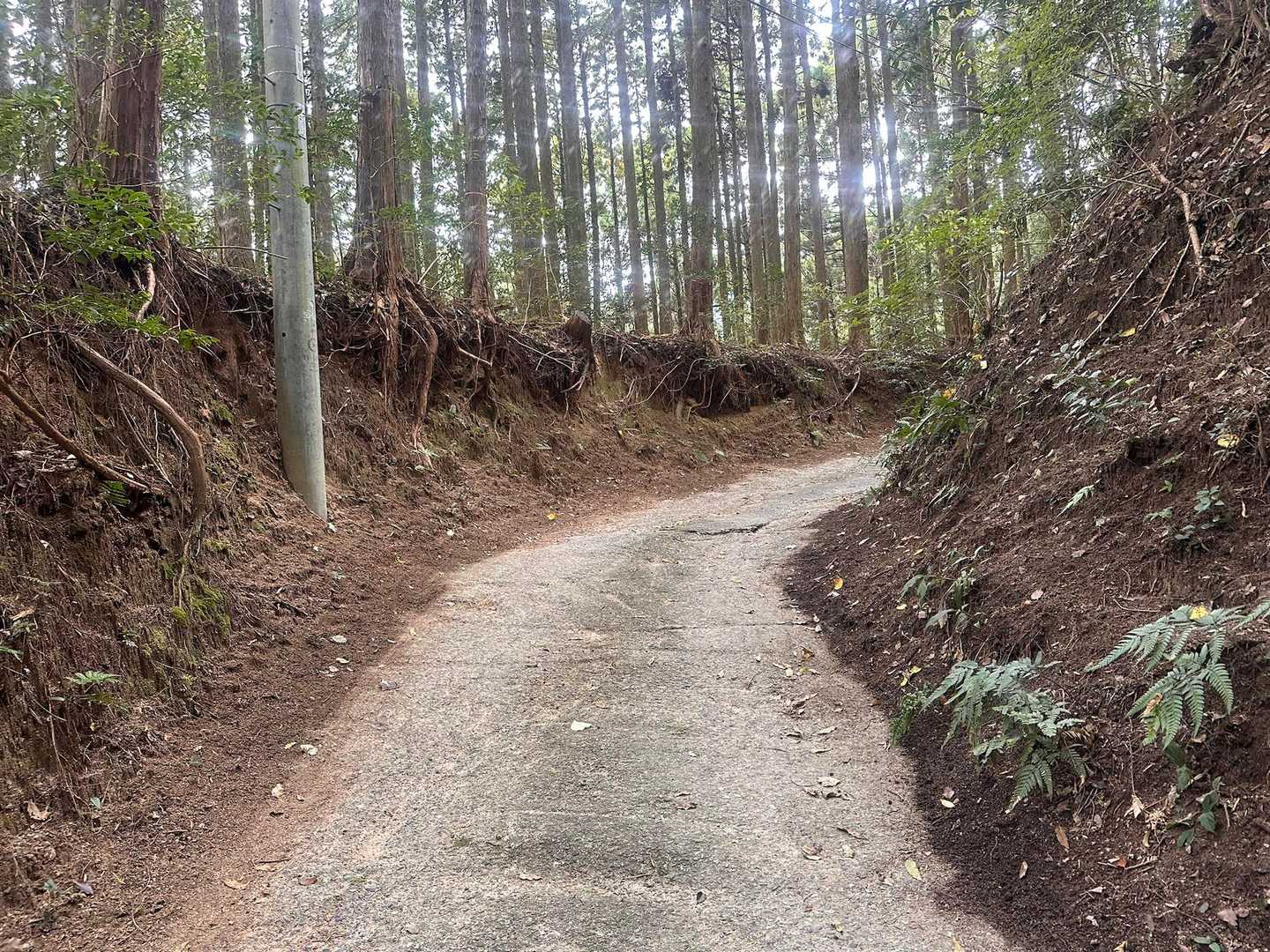 こんな感じ。上の方まで車🚙行けます