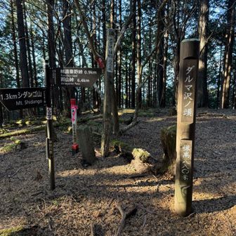 ダルマ沢ノ頭山頂。眺望はありません。