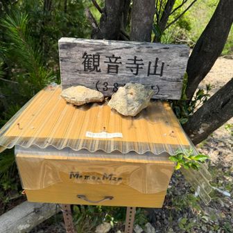 これポスト📮❓