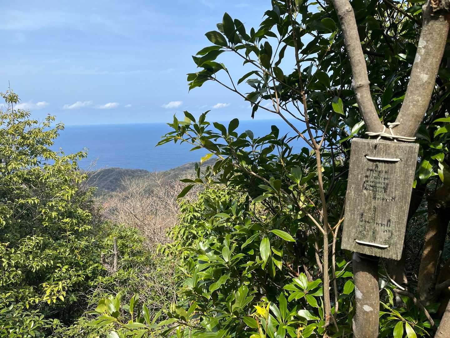 山頂〜西竜に向かいます