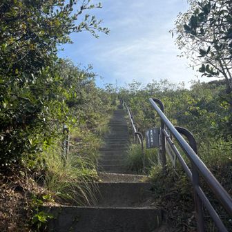 この階段めっちゃキツイ