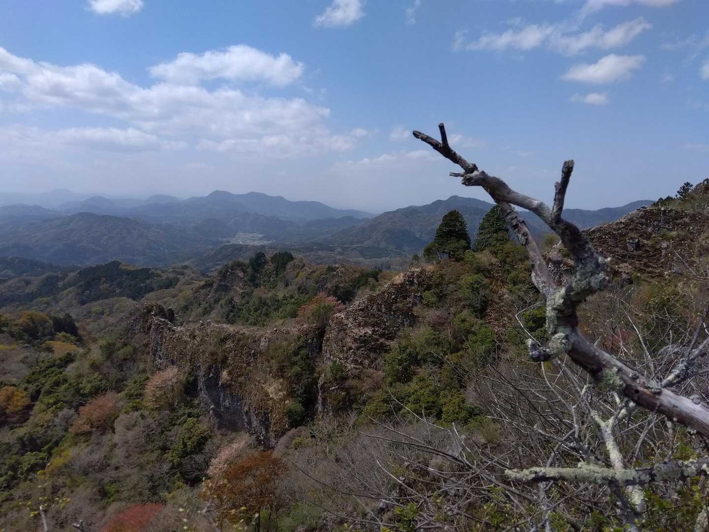 田原山 往復コースの写真