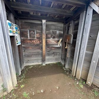ここで木を叩いてアヒルさんをおびき寄せるのですねぇ⤴︎