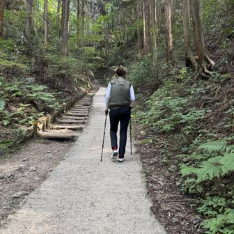 なかなか順調