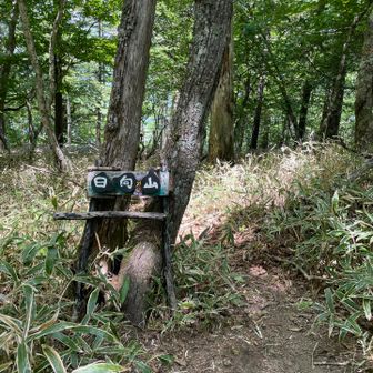 山頂到着、展望はありません