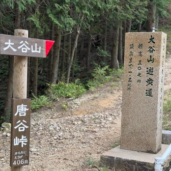 さぁ‼️
またまた来ました🤣
リベンジ大谷山⛰️‼️
スタート▶️