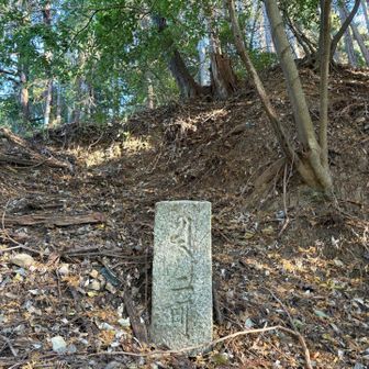町石がありました
歴史感じます