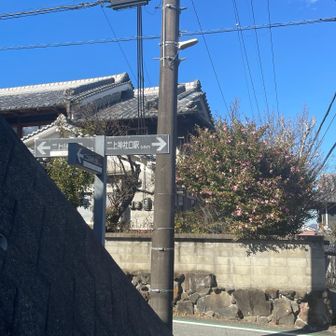 このまま左から山道で帰ろうかと思ったけど、駅へ➡️