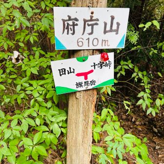 登頂。