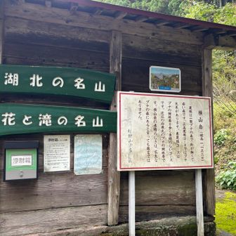 へぇ〜🤔