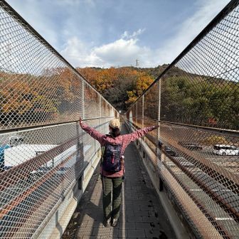 姫路バイパスの上を通過中🙌