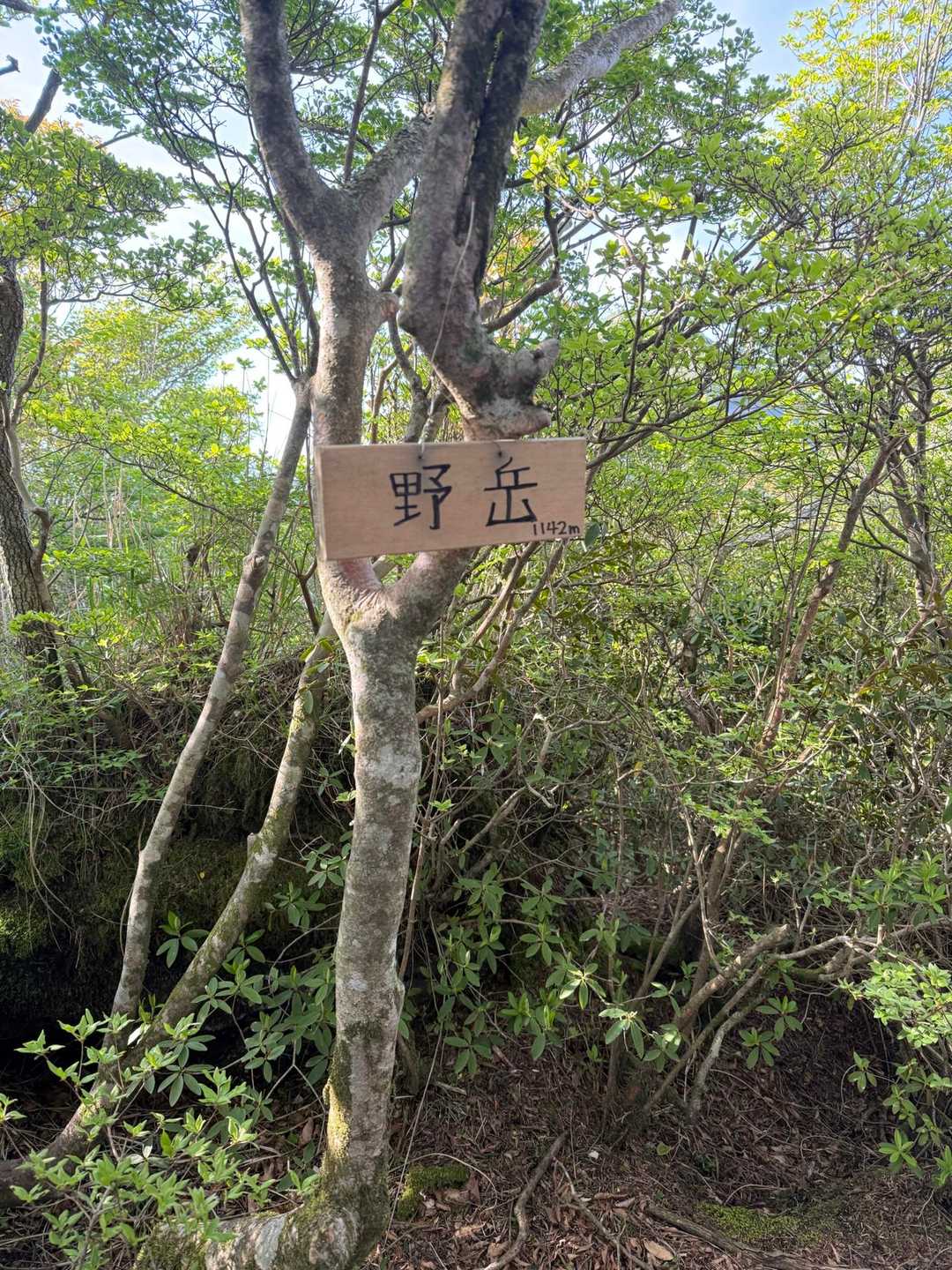 野岳　１１４２m