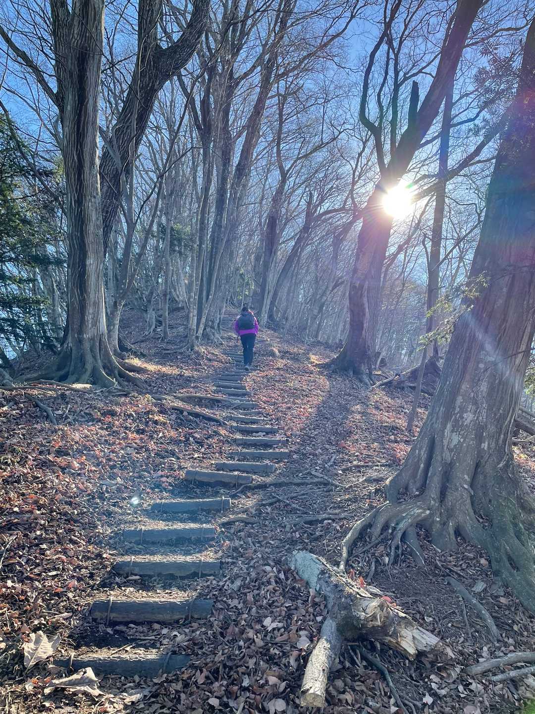 高取山 往復コースの写真