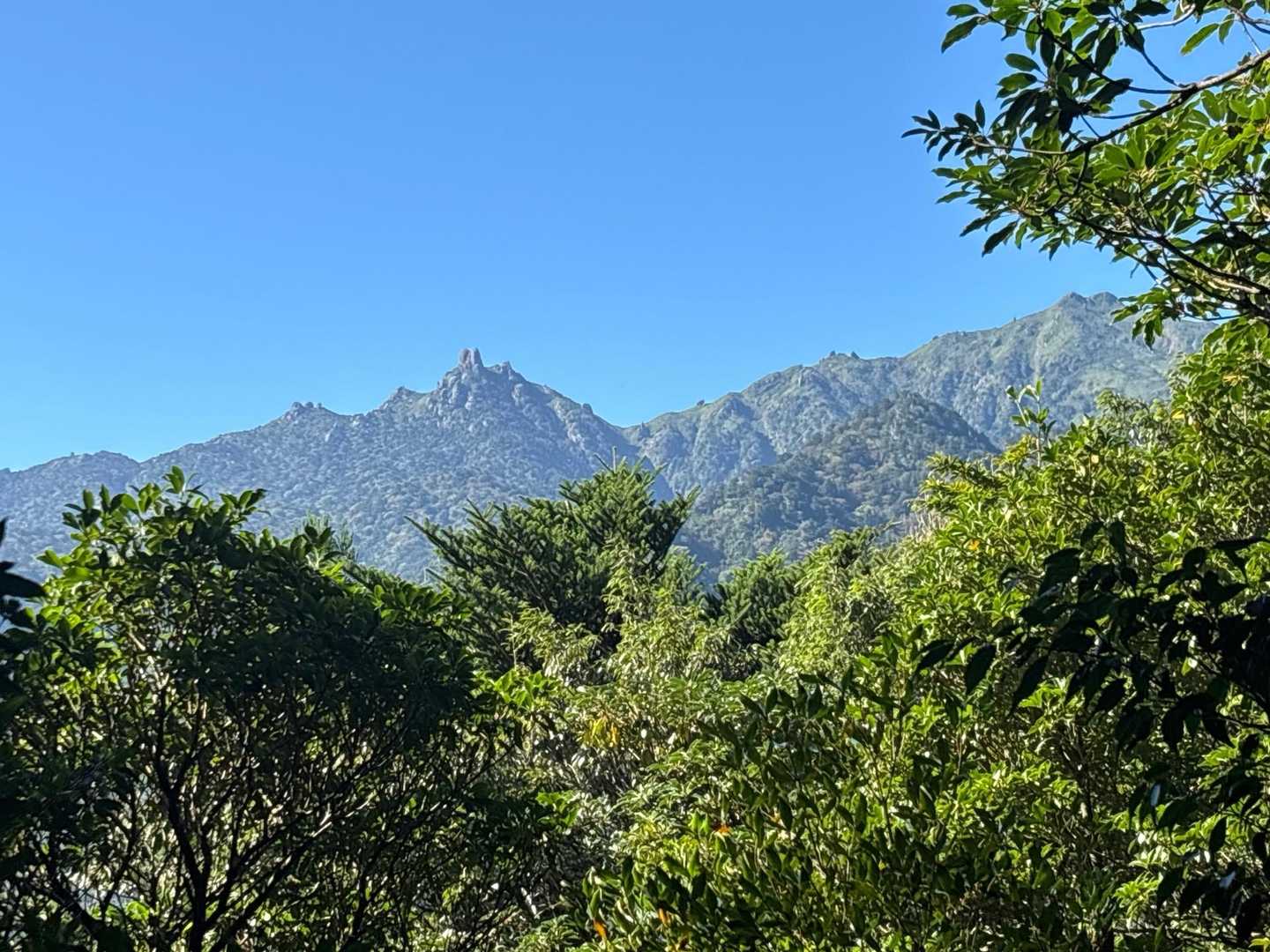 宮之浦岳　100番目の100名山⛰️
登りたかったけど…