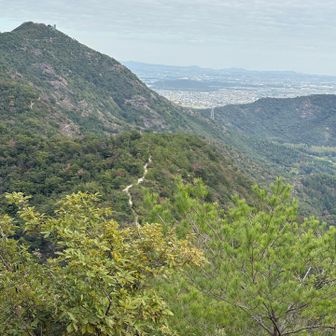 今から行く道が見えてる。一旦下ってまた登るのねー