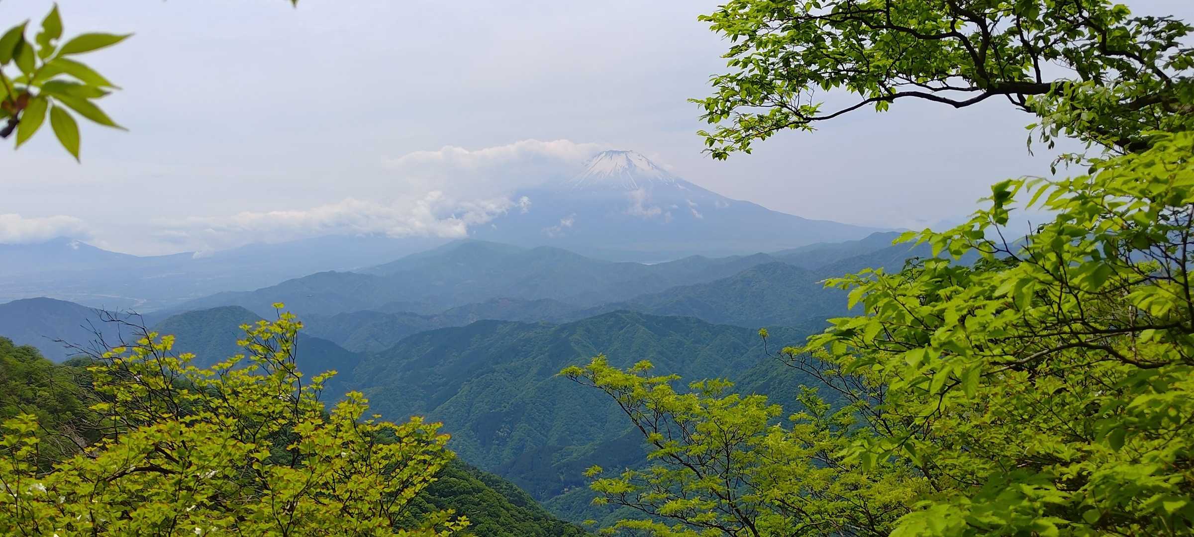 富士山は山頂到着まで見えてましたね🗻