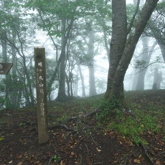 畦ヶ丸山頂🚻
（🚻は100m先の畦ヶ丸避難小屋内にあります）

ベンチは有りますが眺望はありません

久しぶりの山頂
気温20℃