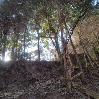 もう少し。あとひと登り。