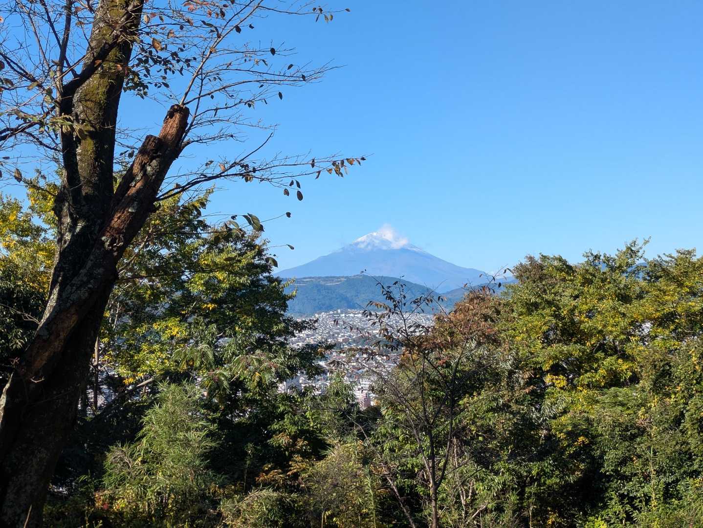 権現山-弘法山 周回コースの写真