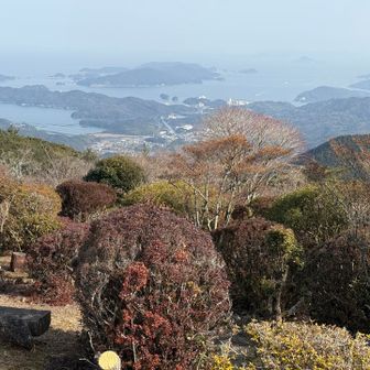朝熊山山上展望台より伊勢湾（鳥羽）方面