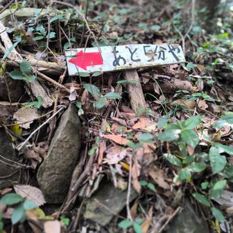 「あと5分や」って😆