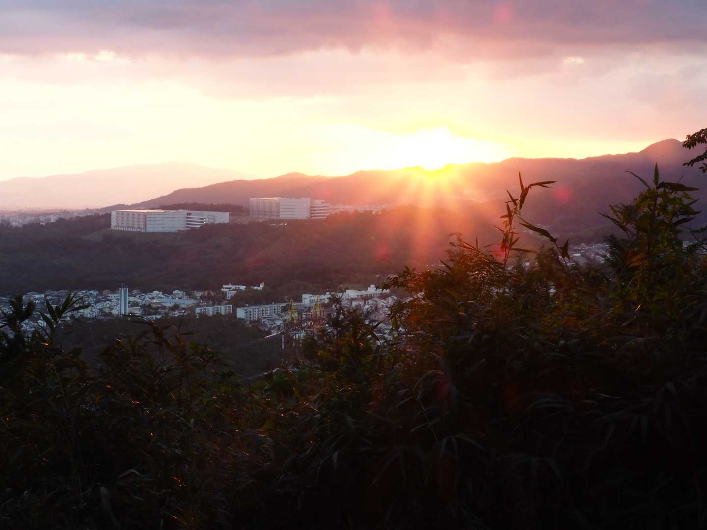 阿武山古墳-阿武山 往復コースの写真