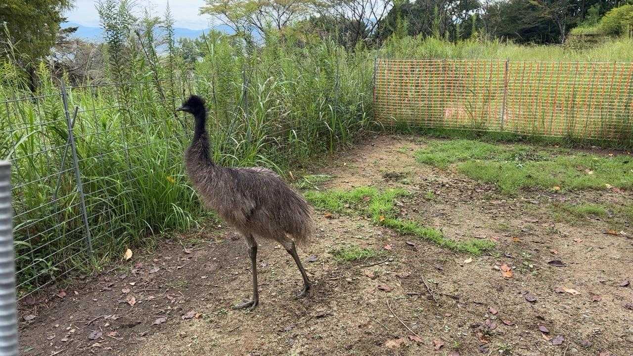 鷹取山周回コース | 耳納連山の東端から街と山並みを一望の写真