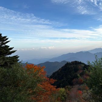 中腹も紅葉🍁してますね〜