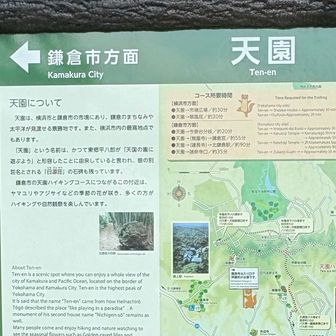 5座目の天園159m山頂に到着

「天園」という名前は、かつて東郷平八郎が「天国の園に遊ぶよう」と形容したことに由来