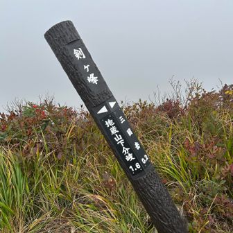 傾いている標識