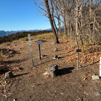 トウチャコ🙌お喋りに花が咲き…山頂までの道のり写真少なめ😅