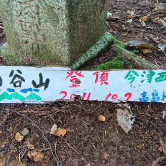 二ノ谷山(608m)