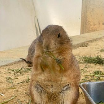 ぼ◯たさん、こんにちは😊
お会いするといつも食事中ですね🍙笑