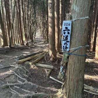 メジャーコースと合流