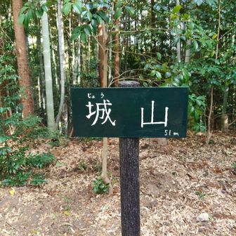 城山(じょうやま)⛰️山頂に到着。