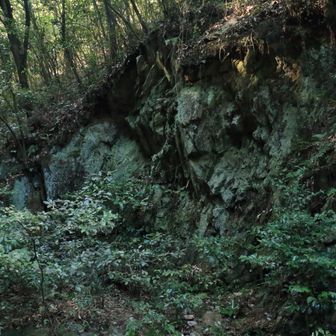 緑っぽい表面の岩壁🪨は花崗岩のようだ