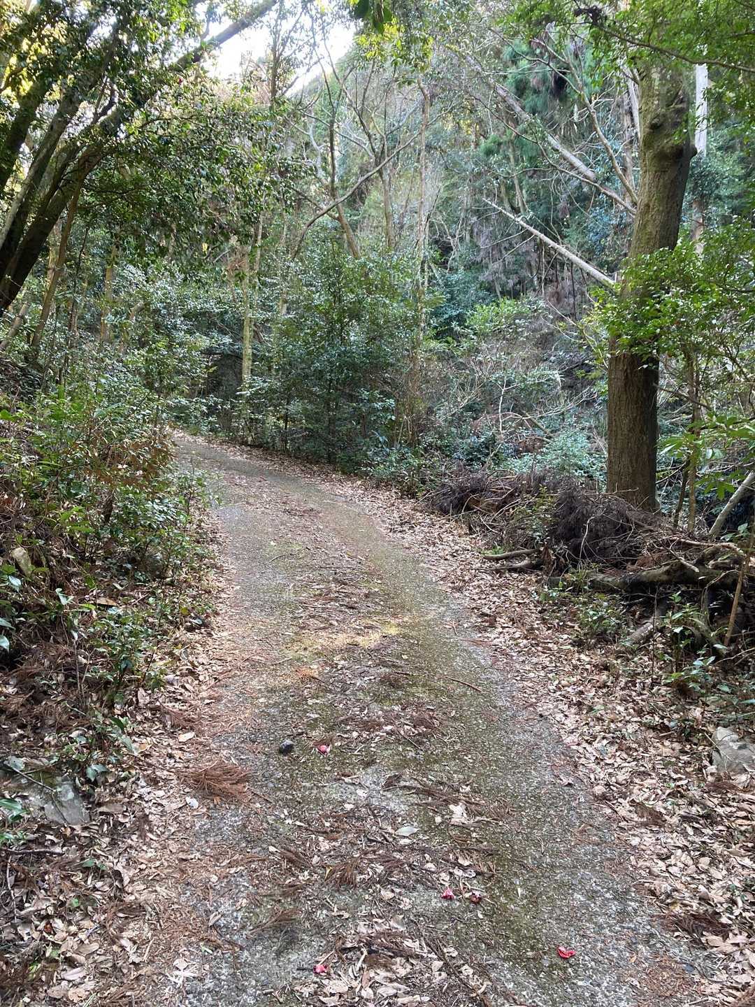 明神山 往復コースの写真
