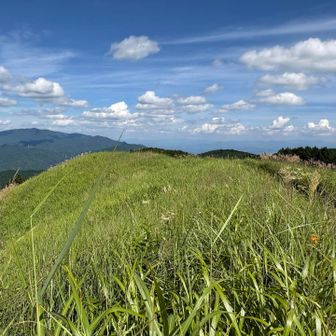 緑の岩湧山も好き🌿☁️✨
