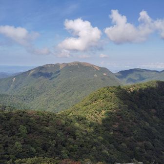 山頂からの景色