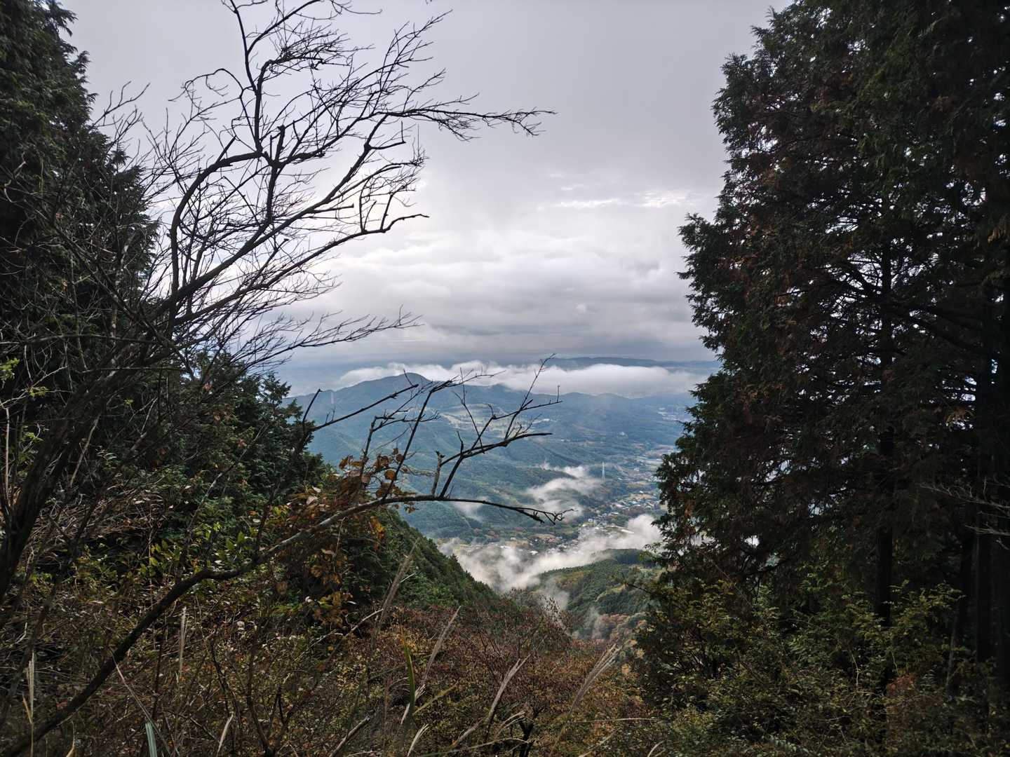 ヤビツ峠-岳ノ台-菩提峠-三ノ塔 周回コースの写真