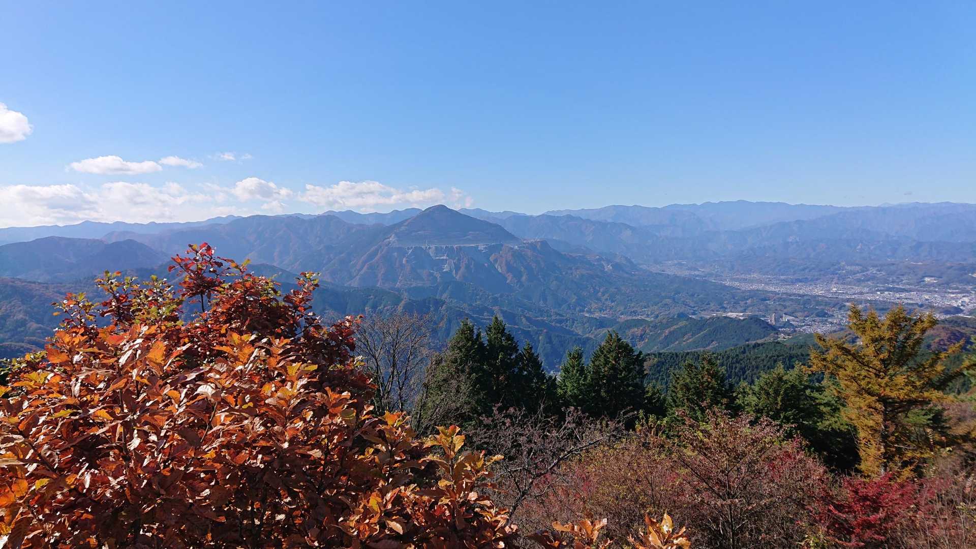芦ヶ久保駅-登山道入口-丸山-大野峠 縦走コースの写真