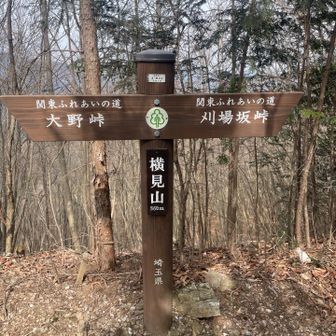 横見山も立派に