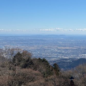阿夫利神社⛩️前からの景色
伊勢原市街が一望できます👀✨