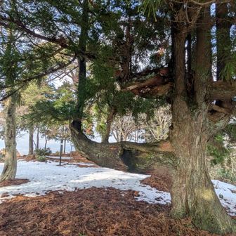 山頂広場のベンチでお昼ご飯　
天気良いけどちょい風があってすぐ冷えてくる、早々に下山です