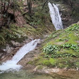 五階滝
ここから更に流れ落ちていたのでそれが名前の由来か