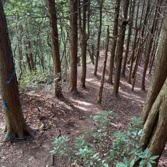 すぐに下山。