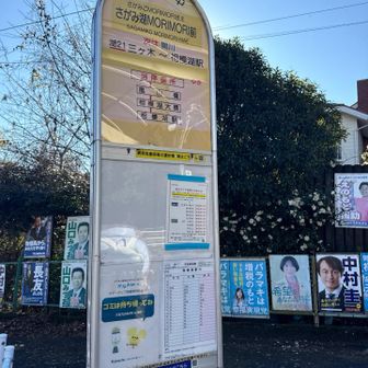 バス🚌も30分後。
ふむ。歩くか。